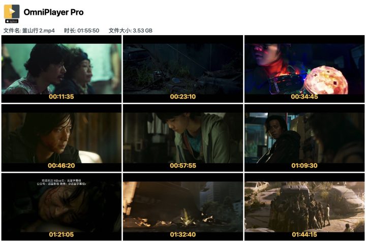 OmniPlayer Pro v2.0.8 中文激活版 支持无线投屏的视频播放器-1662809810-e34a85b220332bf-12