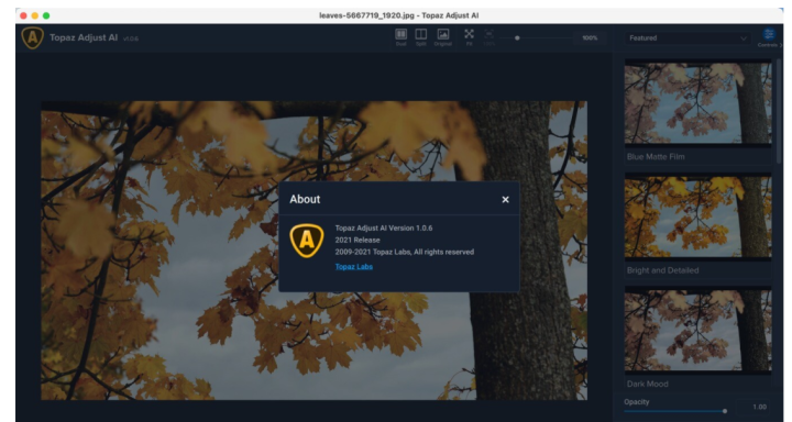 Topaz Adjust AI for Mac(HDR渲染软件)v1.0.6激活版-1665929588-0cb1557b610ad05-1