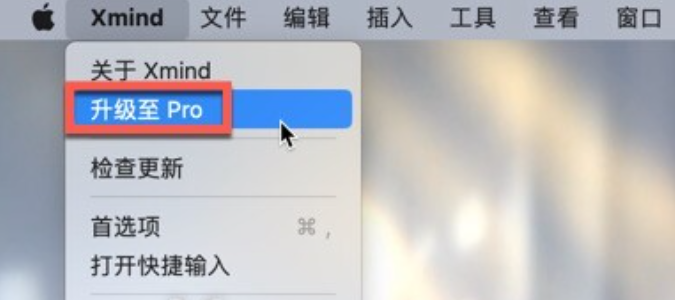 XMind 2023 for Mac(思维导图工具) v23.08中文激活版-1694578483-935d4d9239d84de-2