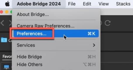 Bridge 2024 for Mac(br2024中文版) v14.0.1.137激活版-1701682363-90fe60bd7352342-14