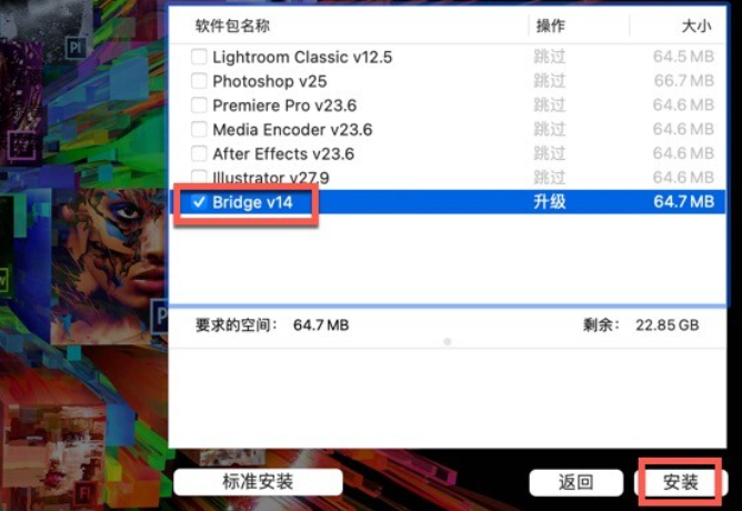 Bridge 2024 for Mac(br2024中文版) v14.0.1.137激活版-1701682364-bb2232635a27244-13