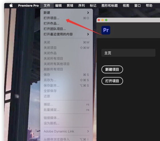 Premiere Pro 2024 for Mac(pr 2024激活版) v24.1.0中文激活版-1702278945-60654672938e1c5-8