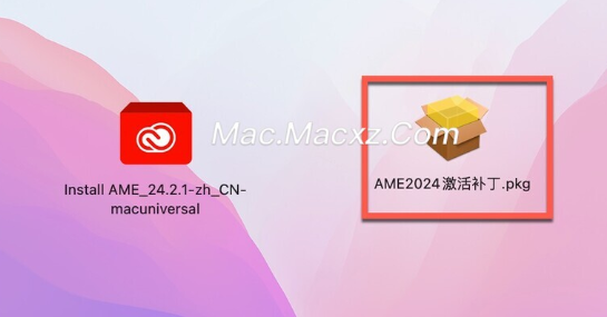 Media Encoder 2024 for Mac(ME2024) v24.2.1激活版-1709021169-b93def9c6d24872-3