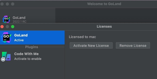 JetBrains GoLand For Mac(GO语言集成开发工具环境) v2023.3.6中文激活版-1711096719-b8f46b2b8754d22-1