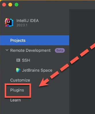 IntelliJ IDEA 2024 for Mac(Java语言开发集成环境) v2024.1中文激活版-1713255793-dd3d00114db6b46-1