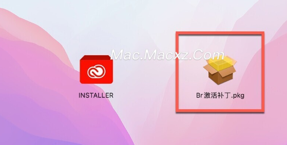 Bridge 2024 for Mac(BR) v14.0.4激活版-1713351741-162fa5bf45ad9c8-1