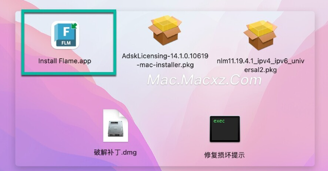 Autodesk Flame 2025 for mac(视觉特效制作解决方案) v2025.0.1激活版-1717147068-61a79d42856a64c-1