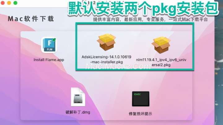 Autodesk Flame 2025 for mac(视觉特效制作解决方案) v2025.0.1激活版-1717147092-5cd53d91fcf1aac-1