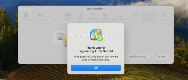 Little Snitch for Mac(小飞贼防火墙软件) v6.0.4激活版-1727406316-878d511edeb4b9f-1