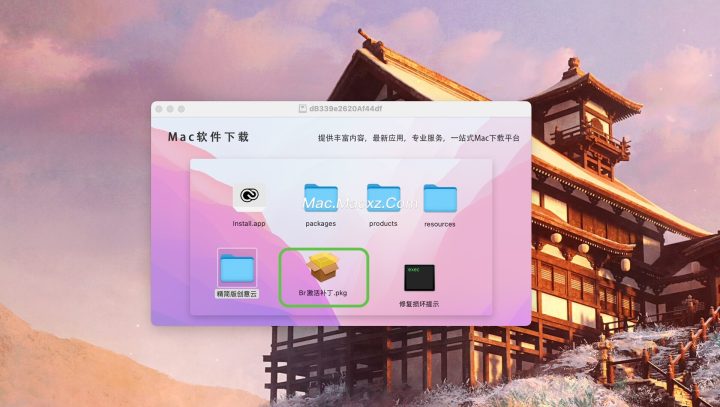 Bridge 2025 for Mac (Br2025最新灵感管理神器) v15.0.0 中文激活版-1731983765-34e4e3204c8ccfa-3