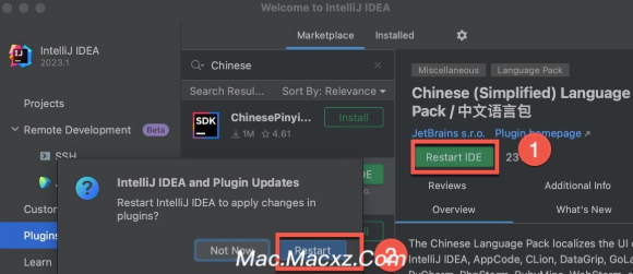 IntelliJ IDEA 2024 for Mac(Java语言开发集成环境) v2024.3.3中文激活版-1739432429-fbf077497b4dedd-1