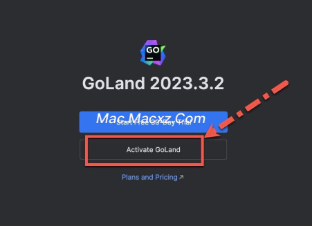 JetBrains GoLand For Mac(GO语言集成开发工具环境) v2024.3.3中文激活版-1739525633-6a3824428008ee3-1