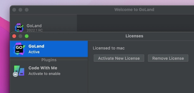 JetBrains GoLand For Mac(GO语言集成开发工具环境) v2024.3.3中文激活版-1739525822-4d3bb03ba579faa-1
