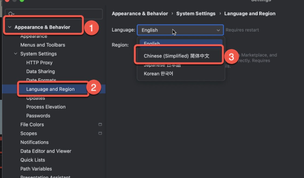 JetBrains GoLand For Mac(GO语言集成开发工具环境) v2024.3.3中文激活版-1739525994-821d9f9e5963bc2-1