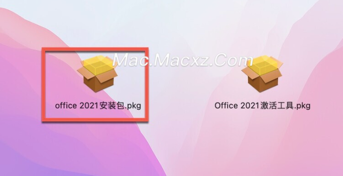 Microsoft Office LTSC 2021 for Mac(office全家桶) v16.95正式激活版-1741769812-74f3293f37bbd13-1