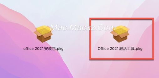 Microsoft Office LTSC 2021 for Mac(office全家桶) v16.95正式激活版-1741769841-1783d978f85a361-1