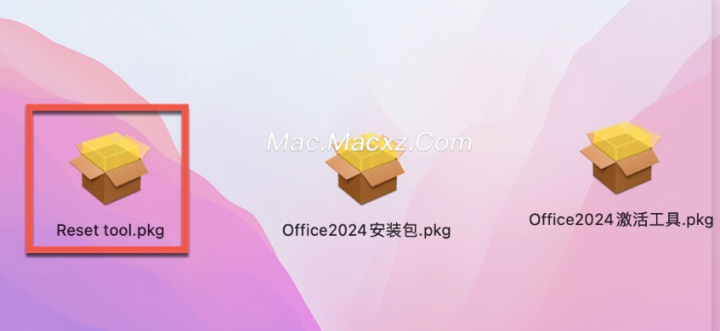 Microsoft Office LTSC 2024 for Mac(office全家桶) v16.95中文激活版-1741771758-1115874828e831c-1