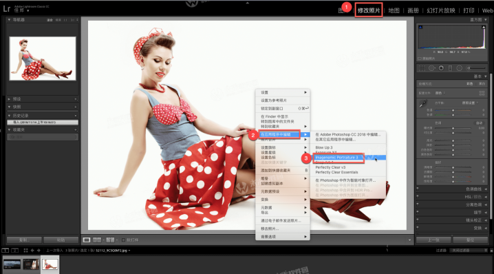 Portraiture 4 for Lightroom Mac(lr人像磨皮插件) v4.5(4501)激活版-1742371445-693d48c6e3c89e8-1