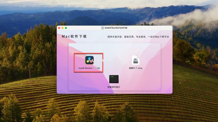 DaVinci Resolve Studio for mac( 达芬奇影视后期调色剪辑) v20.0.0b1激活版-1745813002-0b66595bee52792-1