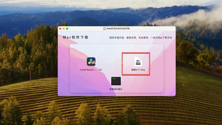DaVinci Resolve Studio for mac( 达芬奇影视后期调色剪辑) v20.0.0b1激活版-1745813076-99819bb52350b0f-1