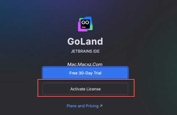 JetBrains GoLand For Mac(GO语言集成开发工具环境) v2025.1.1中文激活版-1747315942-a603ad2f282356e-1