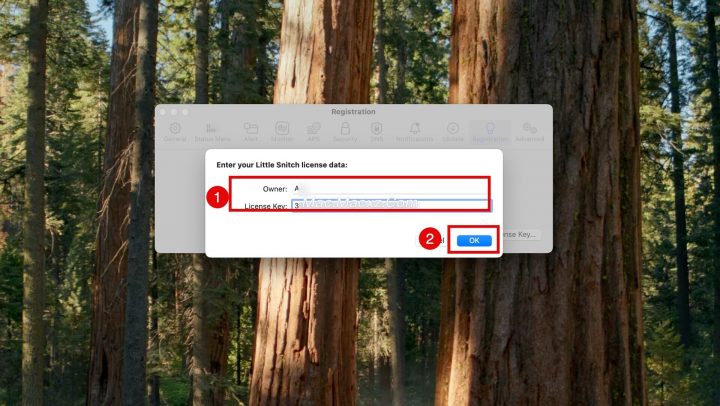 Little Snitch for Mac(小飞贼防火墙软件) v6.3.3激活版-1777434516-b3696975e5dc487-4