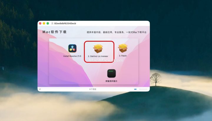 DaVinci Resolve Studio 21 for mac(达芬奇21中文版) v21.1BUILD 14 正式激活版-1789030964-aa0e075a6217522-2